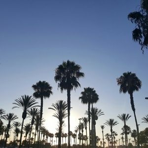 Meet your Posher, Rick